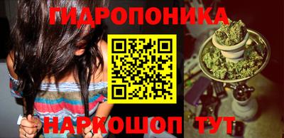 винт Камышлов
