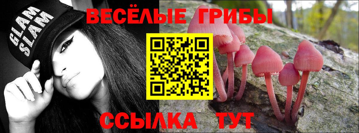Галлюциногенные грибы ЛСД Кузнецк